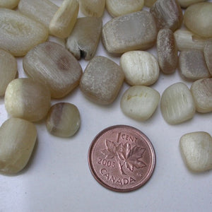Dall Sheep Antler stones - Song of Stones