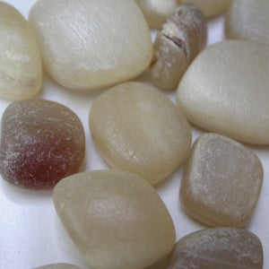 Dall Sheep Antler stones - Song of Stones