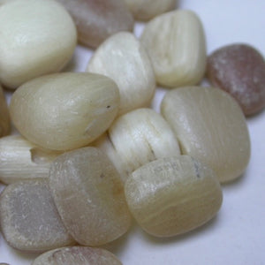 Dall Sheep Antler stones - Song of Stones