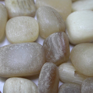 Dall Sheep Antler stones - Song of Stones