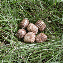 Load image into Gallery viewer, Aragonite Tumbles - Song of Stones