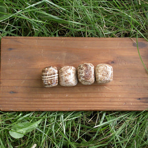 Aragonite Tumbles - Song of Stones