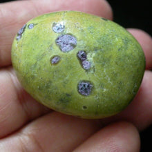 Load image into Gallery viewer, Atlantisite - Song of Stones