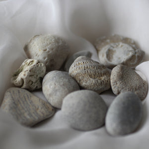 Sea Fossils - Song of Stones