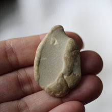 Load image into Gallery viewer, Sea Fossils - Song of Stones