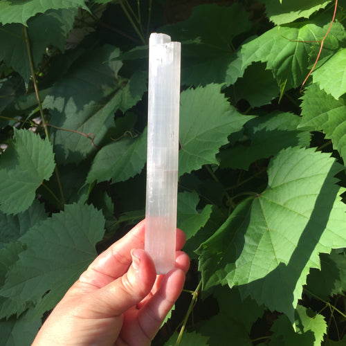 Selenite Wands - Song of Stones