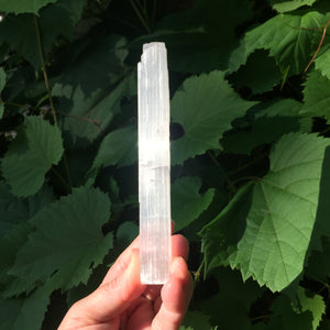 Selenite Wands - Song of Stones