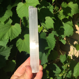 Selenite Wands - Song of Stones