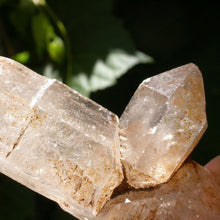Load image into Gallery viewer, Birth - Song of Stones