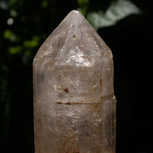 Load image into Gallery viewer, Birth - Song of Stones