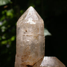 Load image into Gallery viewer, Birth - Song of Stones