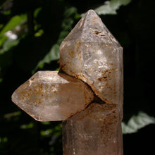 Load image into Gallery viewer, Birth - Song of Stones