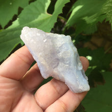 Load image into Gallery viewer, Blue Dolphin - Song of Stones