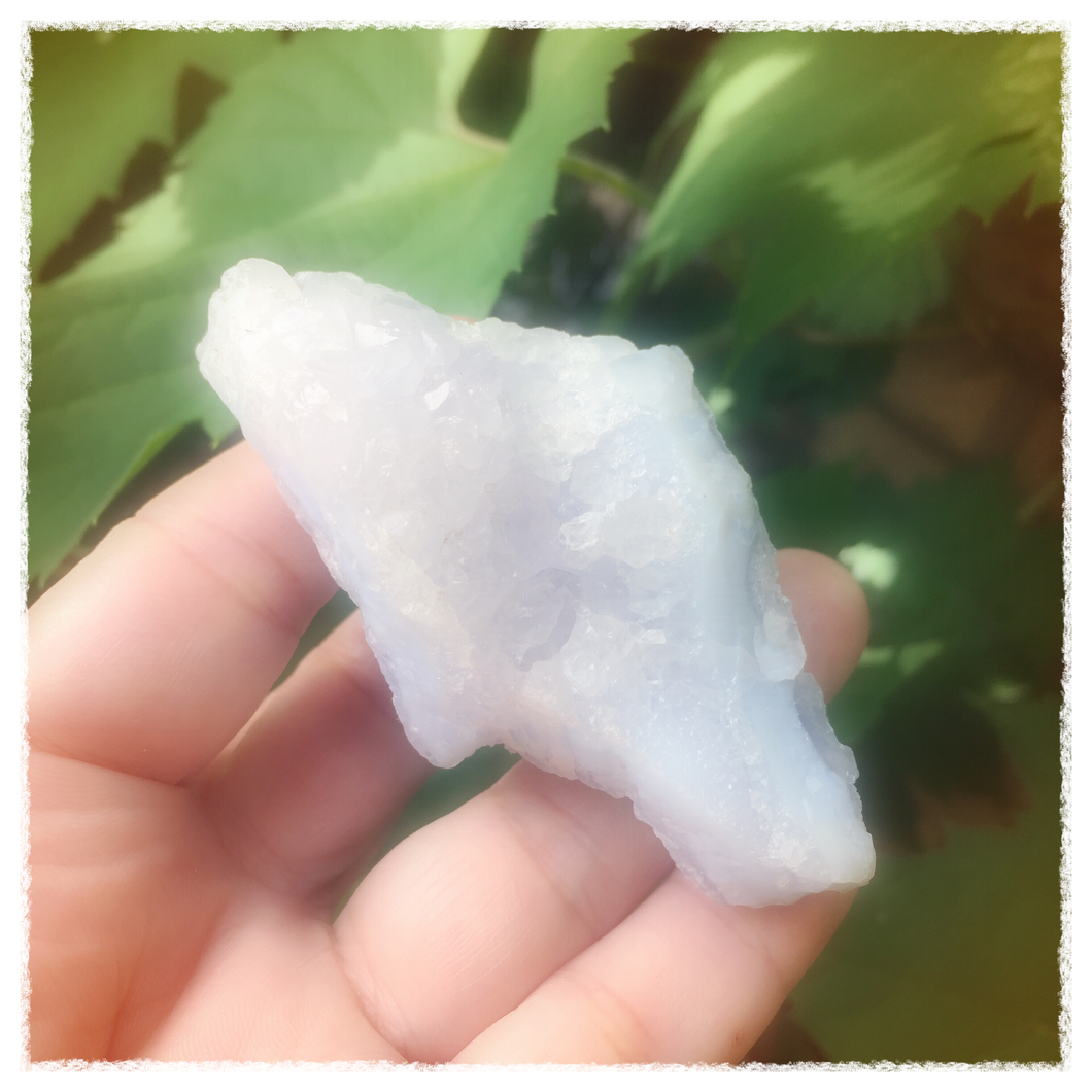 Blue Dolphin - Song of Stones