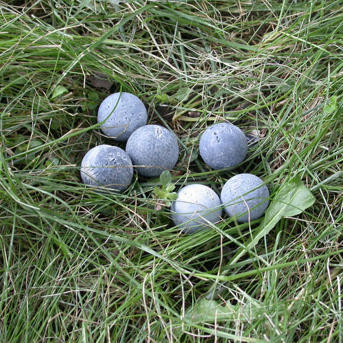 Blue Coral - Song of Stones