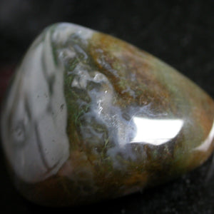 Brazilian Bloodstone - Song of Stones