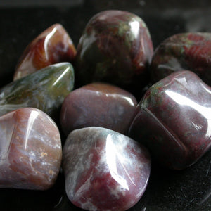 Brazilian Bloodstone - Song of Stones