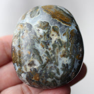 Cayman Island Ocean Jasper - Song of Stones