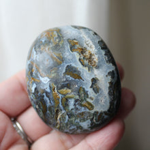 Load image into Gallery viewer, Cayman Island Ocean Jasper - Song of Stones