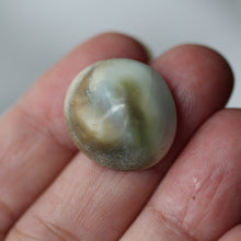 Load image into Gallery viewer, Blue Cat&#39;s Eye Shiva Shell - Song of Stones