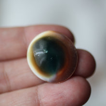 Load image into Gallery viewer, Green Cat&#39;s Eye Shiva Shell - Song of Stones