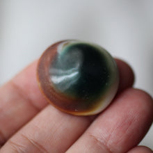 Load image into Gallery viewer, Green Cat&#39;s Eye Shiva Shell - Song of Stones