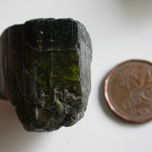 Green Cat's Eye Tourmaline - Song of Stones