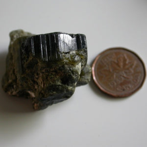 Green Cat's Eye Tourmaline - Song of Stones