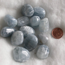 Load image into Gallery viewer, Celestite Tumbles - Song of Stones