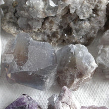 Load image into Gallery viewer, Chameleon Fluorite - Song of Stones