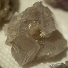 Load image into Gallery viewer, Chameleon Fluorite - Song of Stones