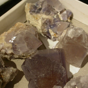 Chameleon Fluorite - Song of Stones