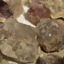 Load image into Gallery viewer, Chameleon Fluorite - Song of Stones