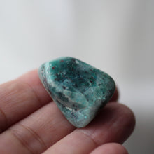 Load image into Gallery viewer, Chrysocolla Tumbles - Song of Stones