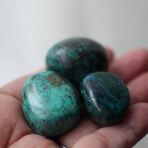 Chrysocolla Tumbles from Peru - Song of Stones