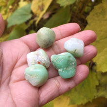 Load image into Gallery viewer, Chrysoprase Tumbles - Song of Stones