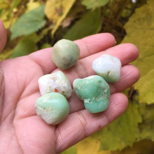 Chrysoprase Tumbles - Song of Stones
