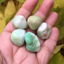 Load image into Gallery viewer, Chrysoprase Tumbles - Song of Stones