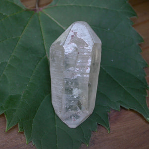 Citrine Lemurian Gateway Crystal - Song of Stones