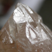 Load image into Gallery viewer, Phoenix Crystals - Song of Stones