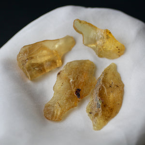 Copal Amber