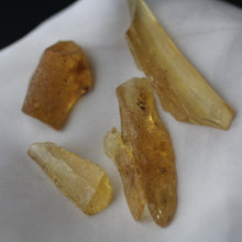Load image into Gallery viewer, Copal Amber