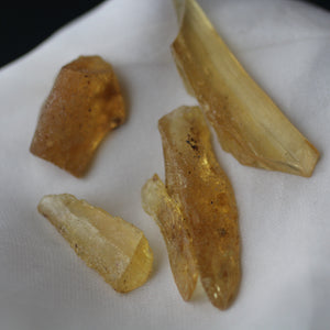 Copal Amber