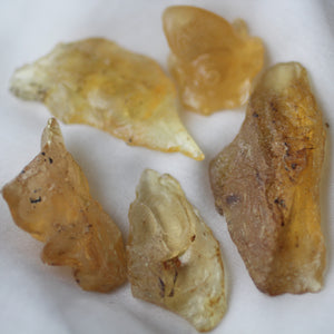 Copal Amber