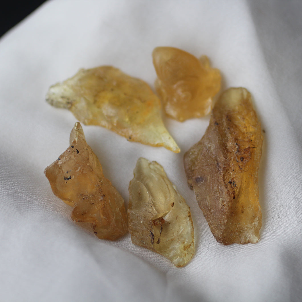 Copal Amber