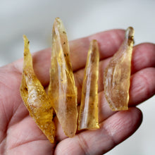 Load image into Gallery viewer, Copal Amber Wands