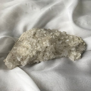 Crystal Sheep