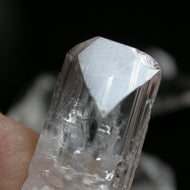 Danburite Natural Crystal Gems - Song of Stones