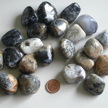 Load image into Gallery viewer, Dendritic Agate Tumbles - Song of Stones