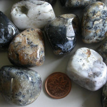 Load image into Gallery viewer, Dendritic Agate Tumbles - Song of Stones
